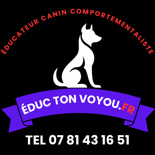 Logo de l'entreprise éducateur canin comportementaliste educ ton voyou